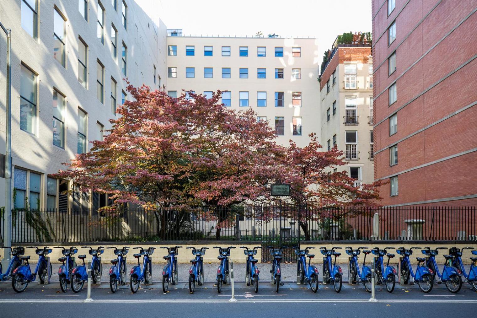 Apartment Central Chelsea 1br W Gym Balcony Doorman Nyc-33 *